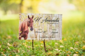 Tabliczka na boks ze zdjęciem Twojego konia  NATURAL