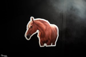 Naklejka z Twoim koniem 5 szt.