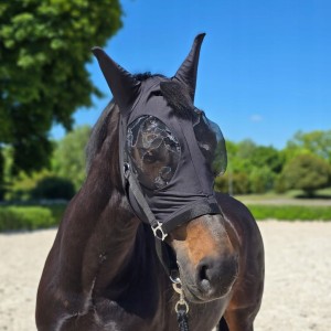 Maska przeciw owadom York Arletta czarna FULL