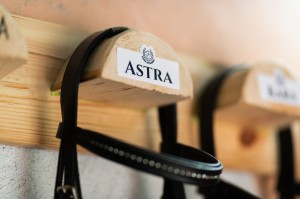 Naklejki z imieniem konia 