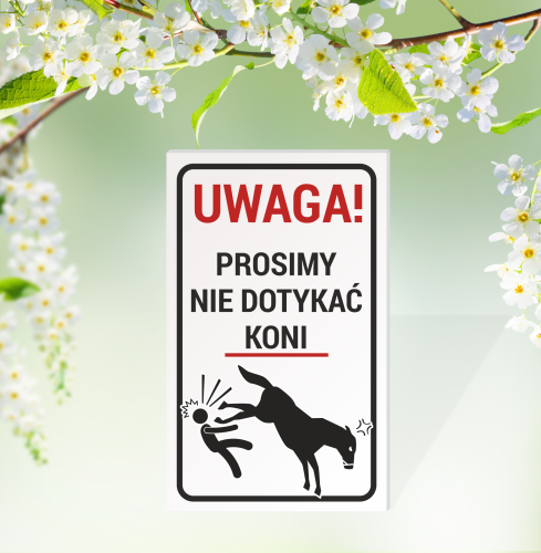 equi gift nie dotykać na stronę.png