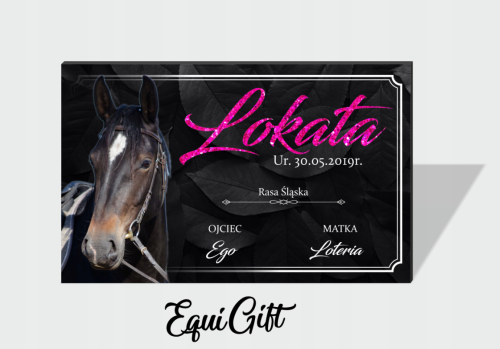 Lokata equigift .png