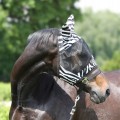 Maska przeciw owadom York Zebra Pony