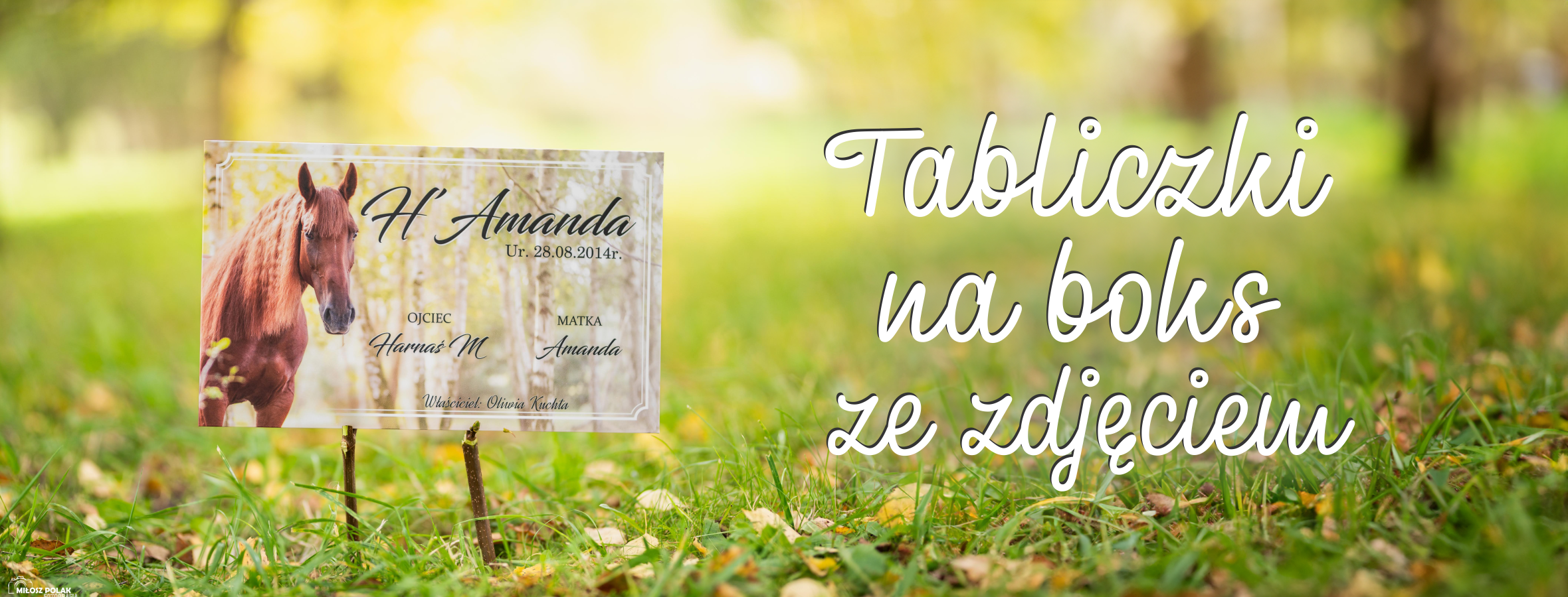 Slide tabliczki ze zdjeciem